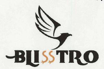Blisstro Device mark 3071611 Trademark