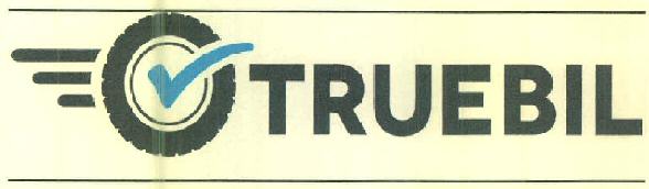 Truebil Device mark 3079929 Trademark