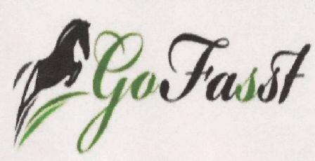 Go Fasst Device mark 3090161 Trademark