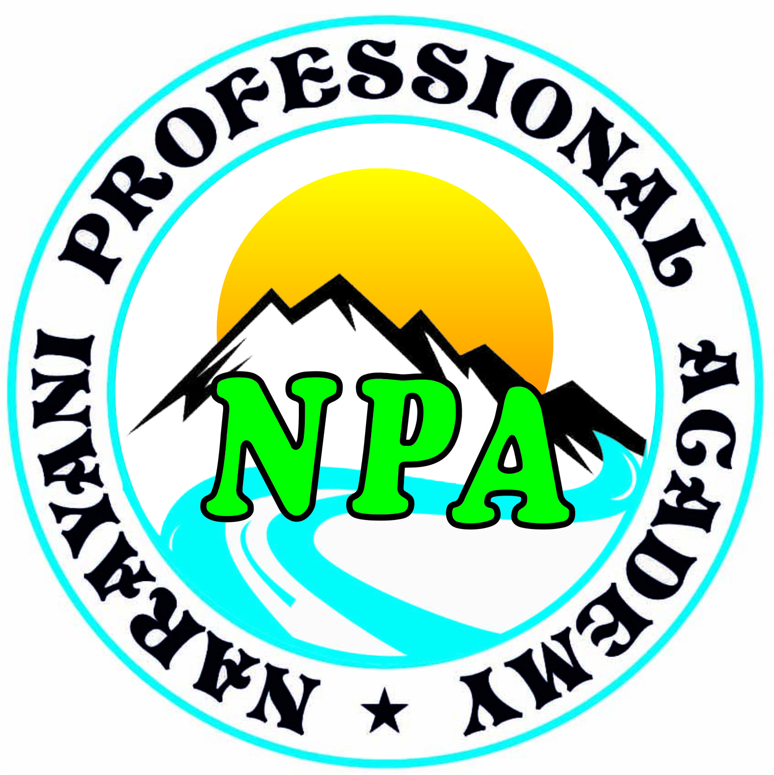 Narayani Professional Academy (npa) Device mark 3088448 Trademark