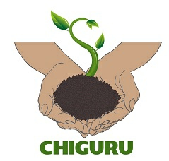 Chiguru Device mark 3097262 Trademark