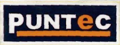 Puntec Device mark 3107884 Trademark