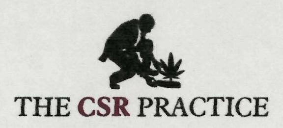 The Csr Practice Device mark 3104860 Trademark