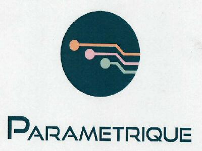 Parametrique Device mark 3109380 Trademark