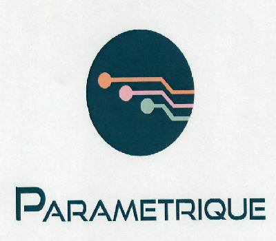 Parametrique Device mark 3109381 Trademark