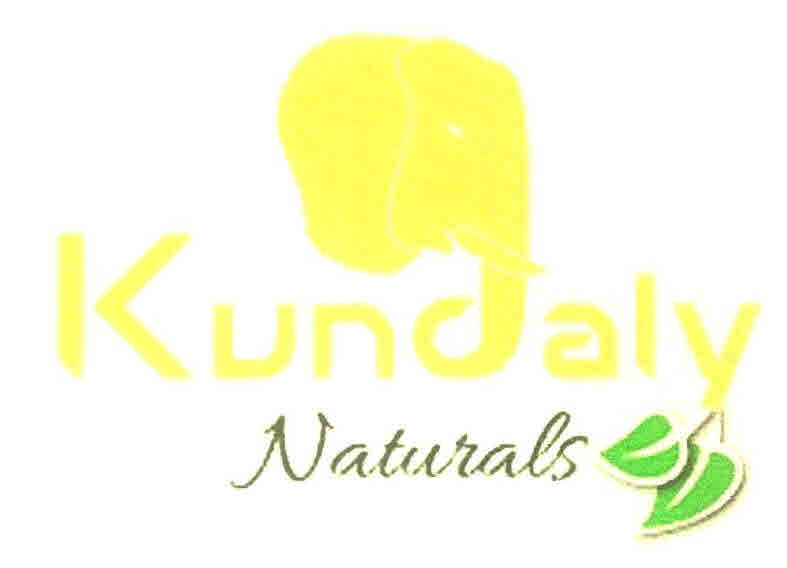 Kundaly Naturals Device mark 3106620 Trademark