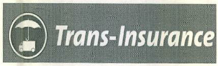 Trans-insurance Device mark 3123793 Trademark