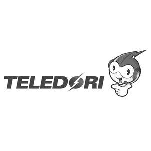 Teledori With An Image Of A Boy Logo Device mark 3113445 Trademark