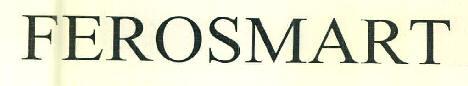 Ferosmart Device mark 3079684 Trademark