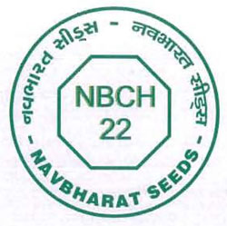 Nbch 22 With Logo Device mark 3118173 Trademark