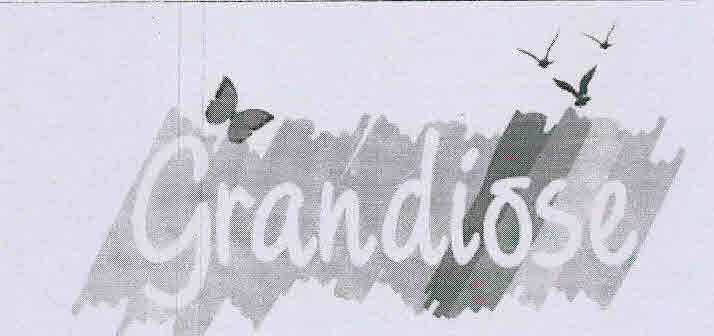 Grandiose Device mark 3136433 Trademark