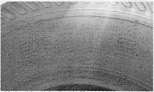 Rpl Device mark 3129045 Trademark