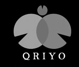Qriyo Device mark 3174982 Trademark