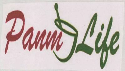 Panm Life Device mark 3134318 Trademark