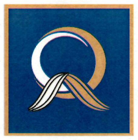 Device Device mark 3189872 Trademark