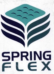 Spring Flex(label) Device mark 3211697 Trademark