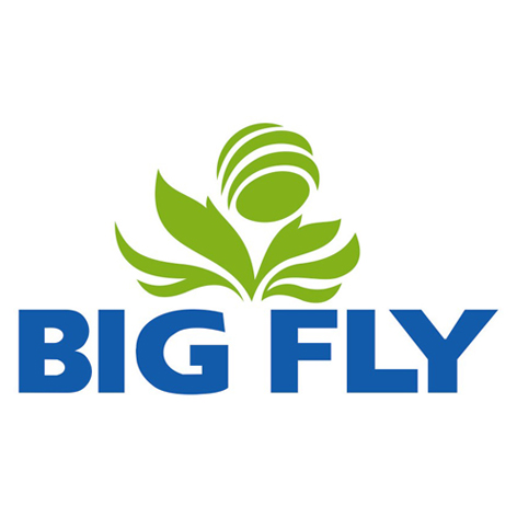 Big Fly Device mark 3222163 Trademark