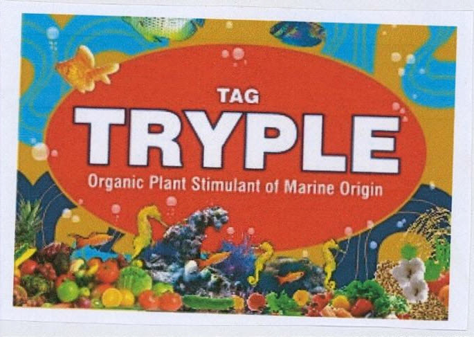Tryple Tag Device mark 3234236 Trademark