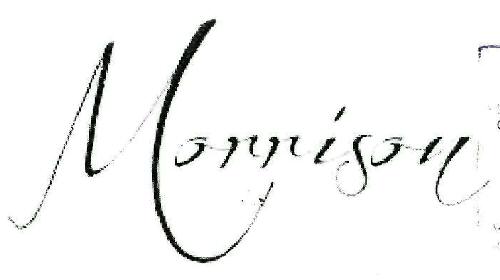 Morrison Device mark 3219590 Trademark