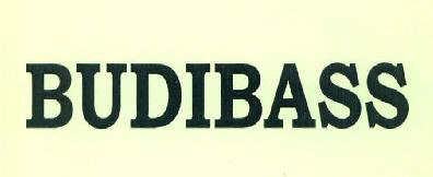 Budibass Device mark 3221563 Trademark