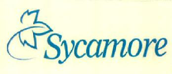 Sycamore Device mark 3252339 Trademark