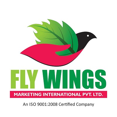 Fly Wings Device mark 3207903 Trademark