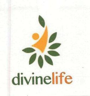 Divine Life Device mark 3212512 Trademark