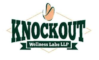 Knockout Device mark 3273254 Trademark