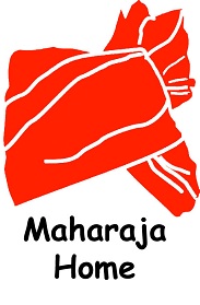Maharaja Home Device mark 3291305 Trademark