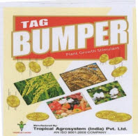 Tag Bumper Device mark 3304418 Trademark