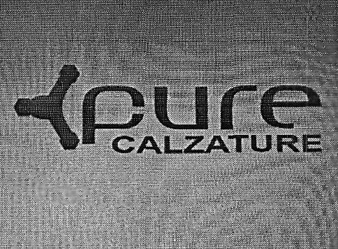 Pure Calzature Device mark 3339076 Trademark