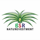 Bsr Naturevestment Device mark 3353501 Trademark