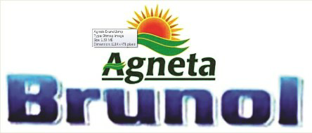 Agneta Brunol Device mark 3361306 Trademark