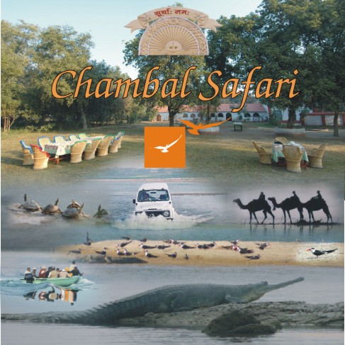 Chambal Safari (device) Device mark 3278552 Trademark