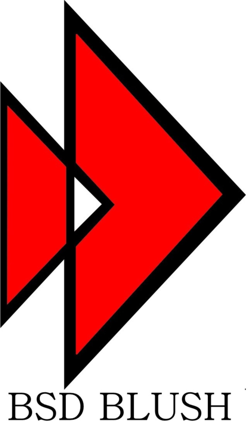 Bsd Blush Device mark 3366683 Trademark