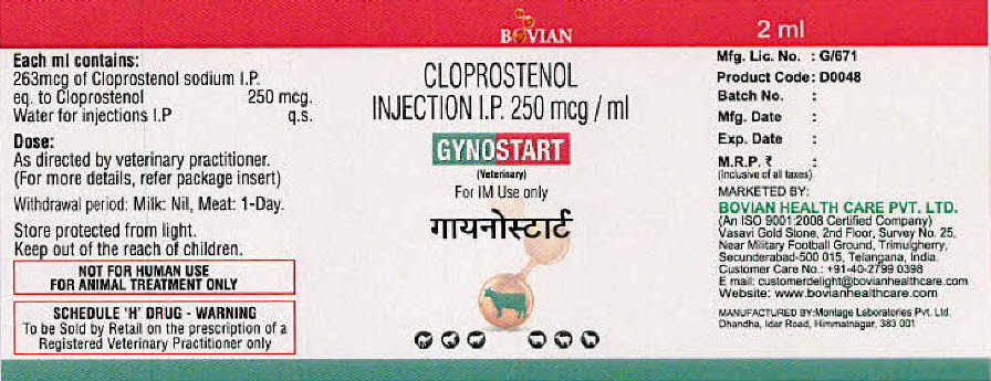 Gynostart Device mark 3339532 Trademark