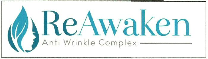 Re Awaken Device mark 3375638 Trademark