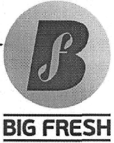 Big Fresh Device mark 3285990 Trademark