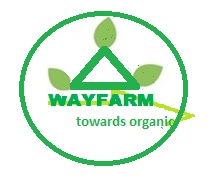 Wayfarm-towards Organic Device mark 3431537 Trademark