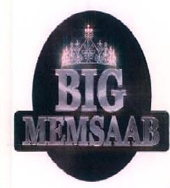 Big Memsaab Device mark 3301902 Trademark