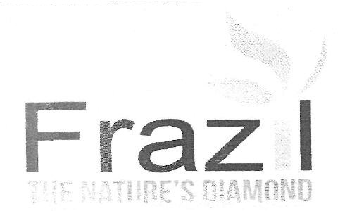 Frazil Device mark 3293831 Trademark