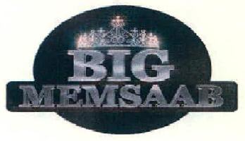 Big Memsaab Device mark 3301733 Trademark