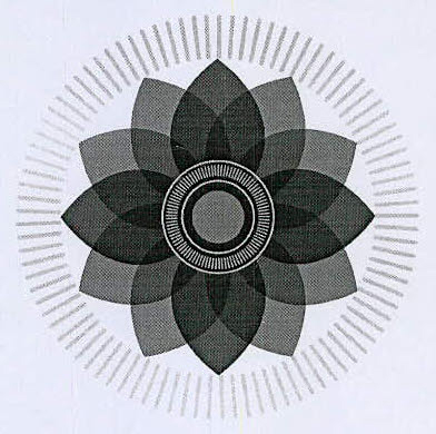 Device Device mark 3421642 Trademark