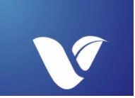 Device Of V Device mark 3372152 Trademark