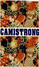 Camistrong Device mark 1578199 Trademark