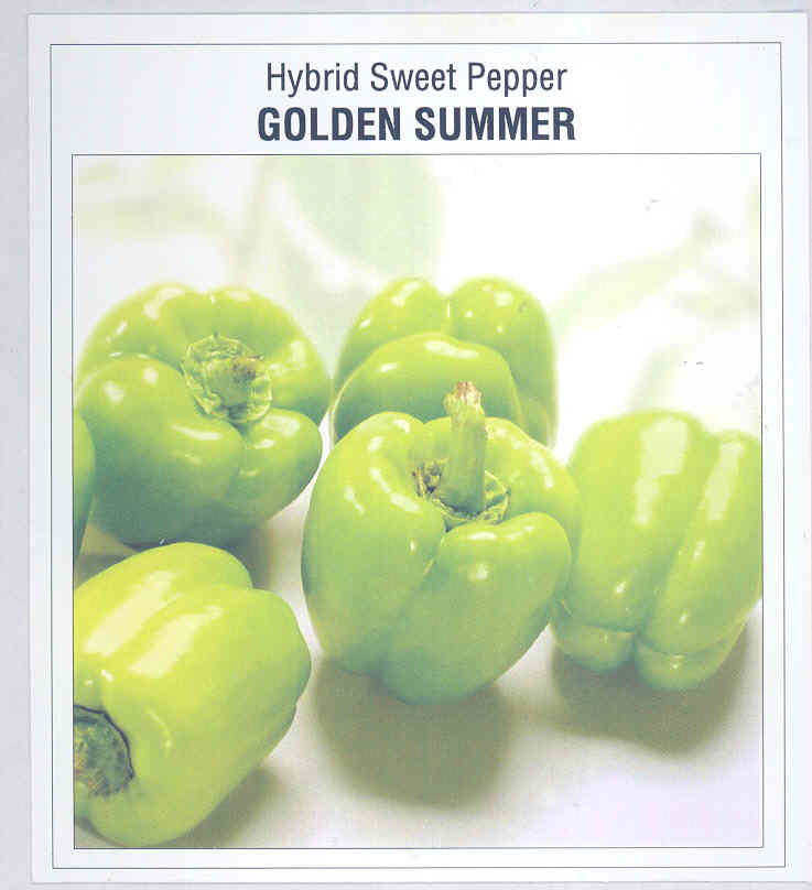 Hybrid Sweet Pepper Golden Summer (device Of Sweet Pepper) Device mark 1586171 Trademark