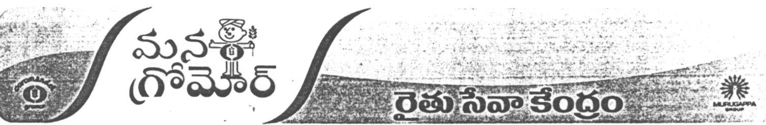 Mana Gromare Device mark 1604991 Trademark