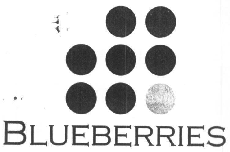 Blueberries (device) Device mark 1612329 Trademark