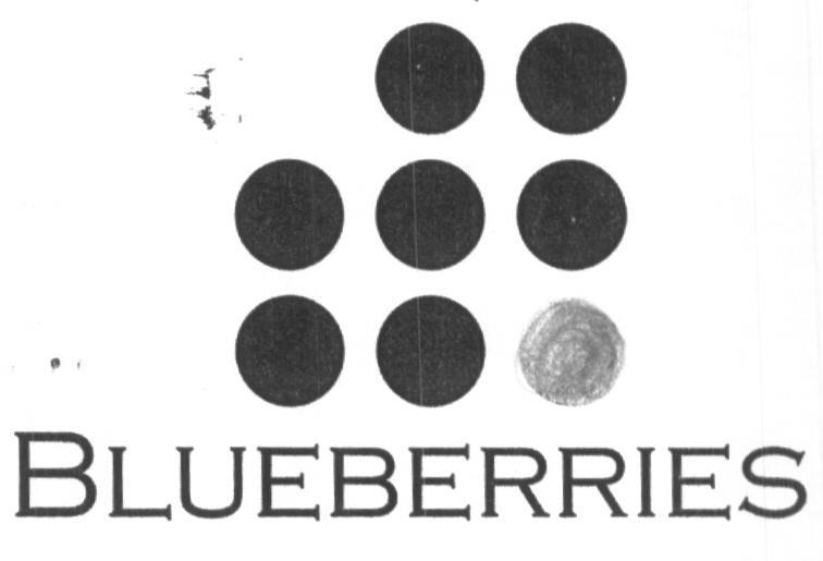 Blueberries (label) Device mark 1612330 Trademark