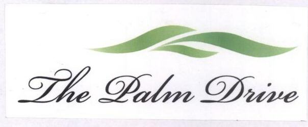 The Palm Drive With Device Device mark 1651056 Trademark